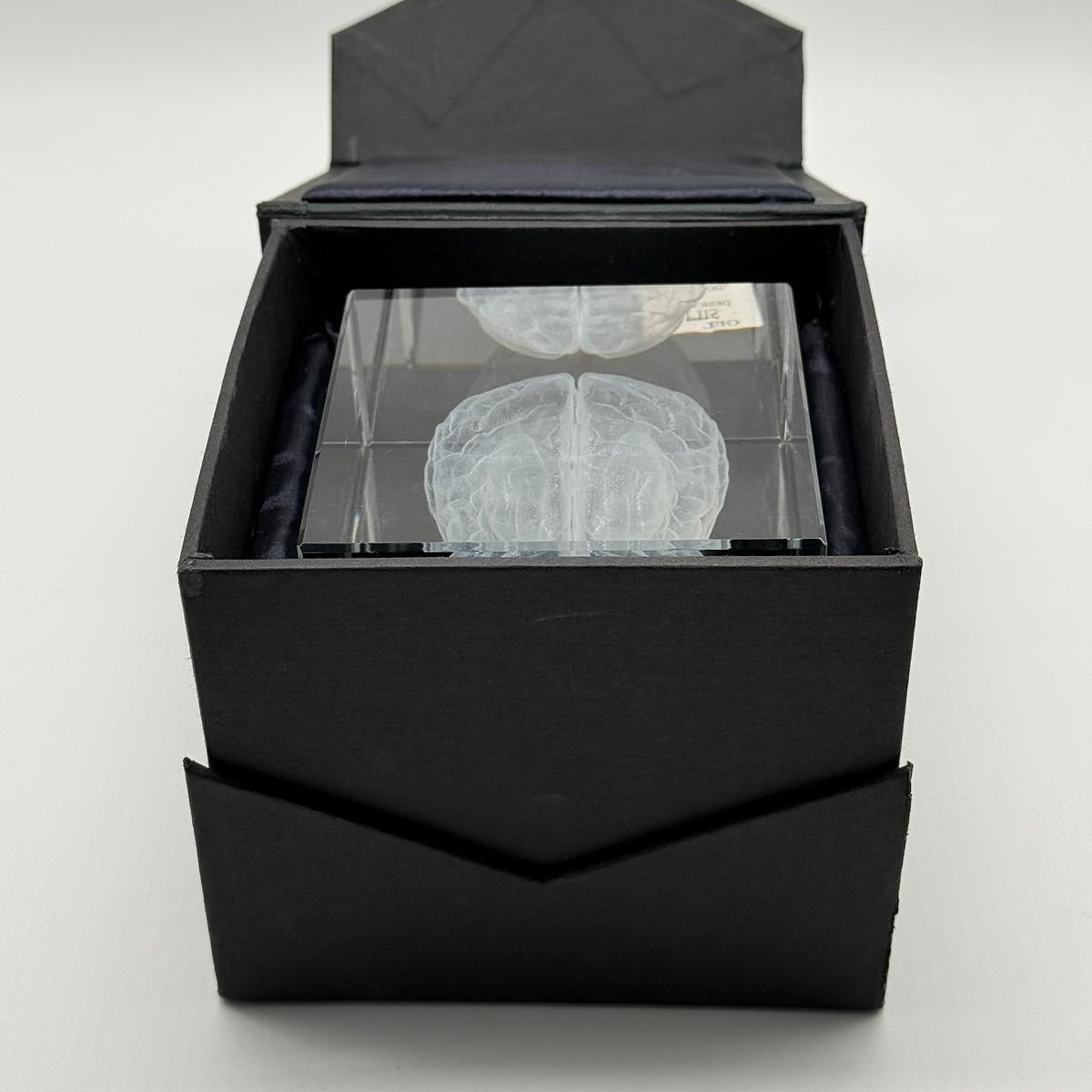 Gehirn - Glaswürfel World of Psychology