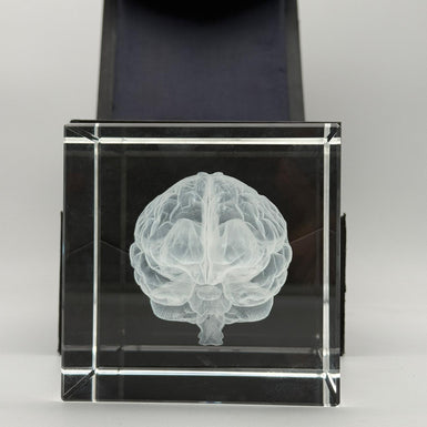Gehirn - Glaswürfel
