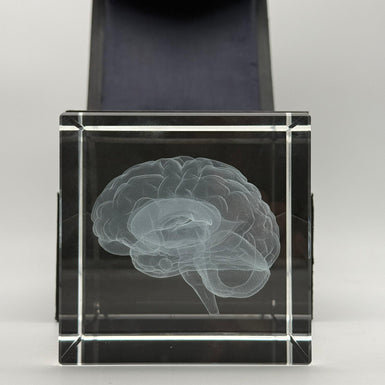 Gehirn - Glaswürfel