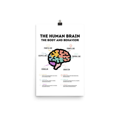 Psychologie Poster - The Human Brain